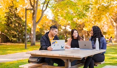 Three students sit at a picnic table with their laptops open.